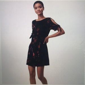 Loft Floral Velvet Split Sleeve Dress - Worn Twice